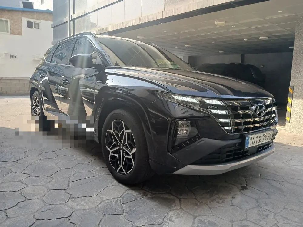 투싼 일용직 무심사렌트카